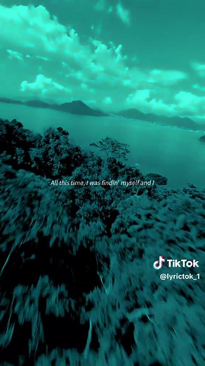 Avicii - Wake Me Up #lyrics #drone #music #hits