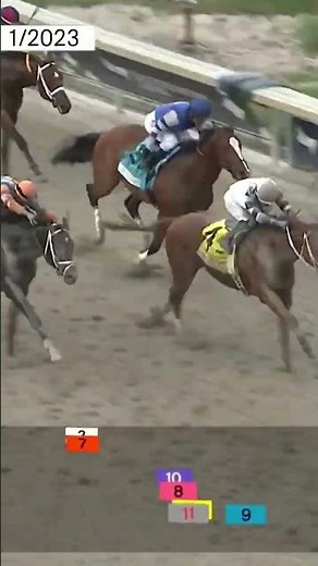 WHAT.A.RACE! FORTE storms home to take the Florida Derby in the final strides 🔥 🎥 Gulfstream Park