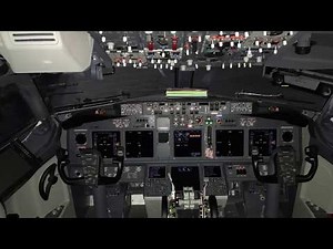 Delta Airlines B737-900(ETOPS) Cockpit/Cabin Walk-Thru