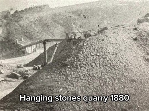 Family-tree-builders on TikTok