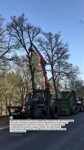 Forestry Tractor Tree Cutting Crane Operation #Forestry #HeavyEquipment #TreeRemoval