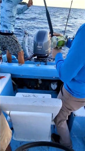 My First Barracuda | Fishing Roatan, Honduras