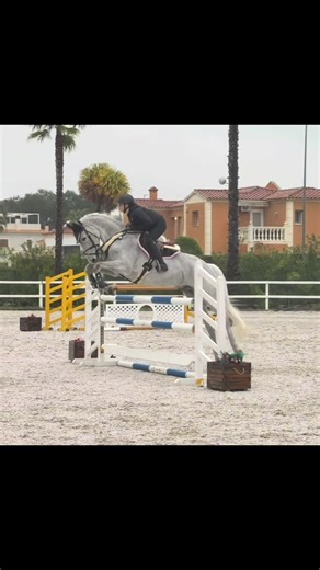 Exciting Mayo Jumping Class Highlights
