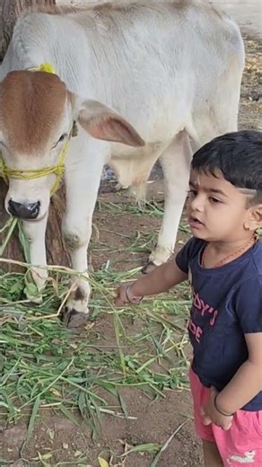 Trying To Brush his Teeth #Basically wants to lick paste #Lovely Baby
