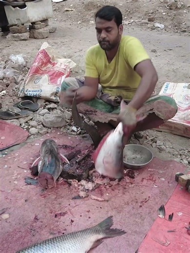 Big Size Pangash Fish Cutting🔥 | Giant Freshwater Catfish Cleaning & Cutting Process🔥