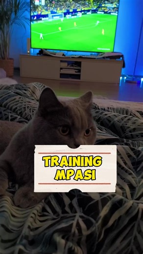 #puszek #szarykot