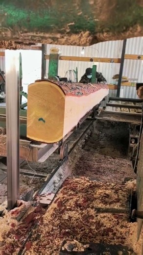 #Log Processing #Timber Processing Plant #Timber Pulling...Expand