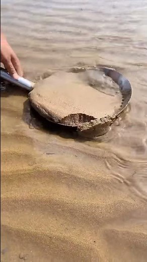 Catching Seafood Video Compilation | Amazing Fishing (Catch Fishes, Crabs, Lobsters..) | Video #39