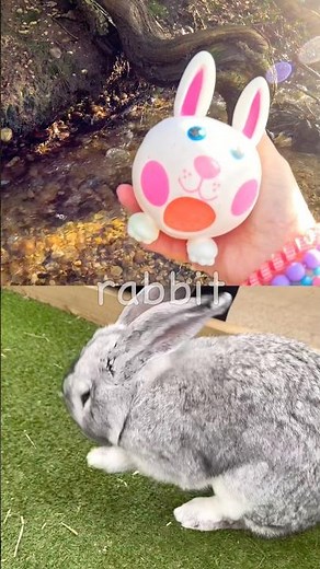 Animal Names | Kids Learn by the Tree Branch: Frog Elephant Axolotl Giraffe Rabbit