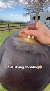 4.7K views · 51 reactions | Shedding made easy with our Metal Brush ...