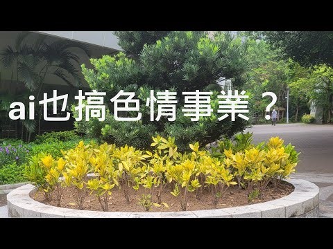 制度實錄：AI情色內容的制度邊界與商業試煉