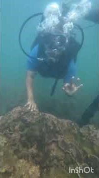 SCUBA DIVING 🤿 first time Experience ❤️😍😘