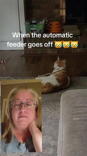 Amazing Geoorood Cat Feeder Deal - Grab Yours Now!