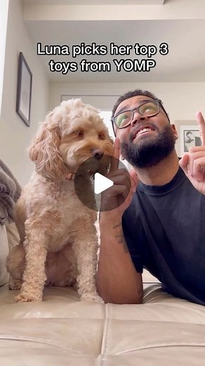 Luna The Mini Cockapoo on Instagram: "The way she picks the first @shopyomp toy 朗✨ The amazing thing about all of these toys are that they are BPA free, made with food grade silicone, dishwasher safe, and are great on the teeth with their unique texture. Which is great for Luna as she is definitely a chewer  Use our code ‘LUNA20OFF’ and shop their products by checking out our story highlight where you can click to their site! #YompPartner #YompPack #dogtoys"