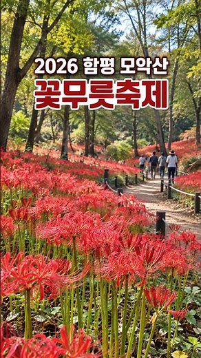 🌺 지금 가야 할 함평 꽃무릇축제｜2026 모악산 꽃무릇축제 기본정보 총정리
