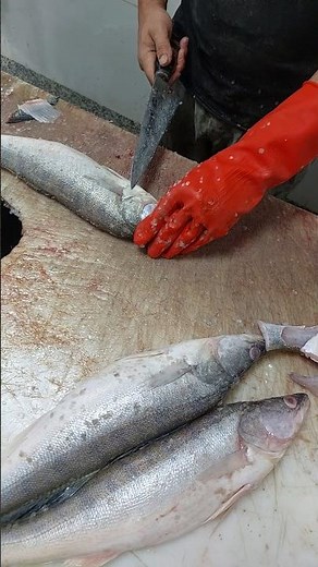 Walleye Filleting Hack That Saves Time & Meat