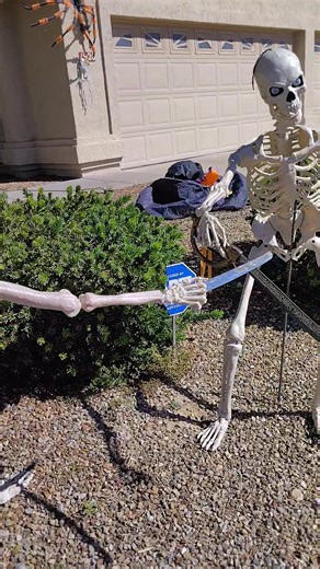 Halloween decorations 🤩💜💚 | Quin Tim