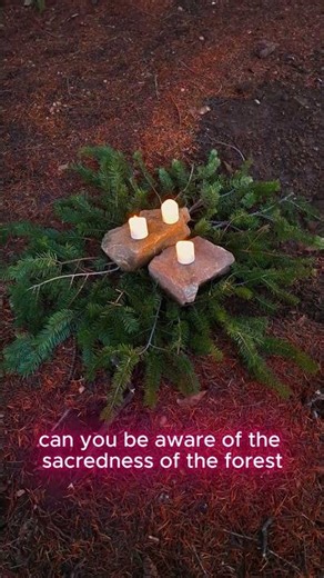 The forest and the wholeness of life