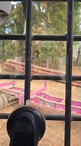 Loading The Wagon | T&T Logging,LLC