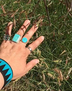 Eyelash grass 󾭵Bouteloua gracilis | Geninne's Art