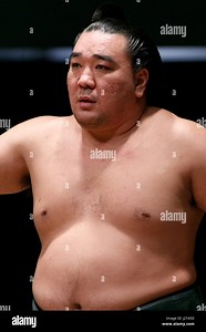 Chiba, Japan. 30th Apr, 2017. Sumo wrestler Harumafuji Kohei participates in a special Grand Sumo Tournament during the Niconico Chokaigi festival in Makuhari Messe Convention Center on April 30, 2017, Chiba, Japan. Niconico is a Japanese social video website with over 62 million registered users. The two day Niconico Chokaigi festival allows users and creators to communicate face to face. Credit: Rodrigo Reyes Marin/AFLO/Alamy Live News Stock Photo - Alamy