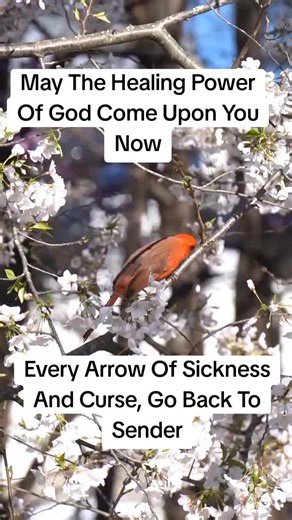 Powerful Prayer for Healing and Protection Today