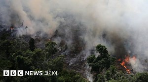 아마존 화재: '브라질 우림지대 급속도로 파괴되고 있다' - BBC News 코리아