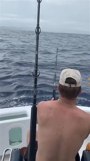 FISH AWN | Hudson Westbrook