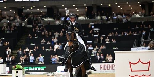 Auto Group Nordvest CSIU25 European Youngster Cup LR Grand Prix (220.2.1.2-GP) 1.45m - Dansk varmblods hingstekåring 2026 / Danish Warmblood Stallion Show 2026 - 2026 | Videos, Live Streams, Films and Shows | ClipMyHorse.TV