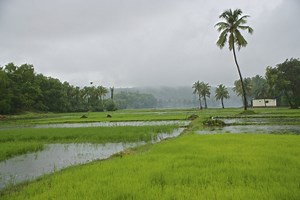 Beautiful Karnataka - 2 Best Train Routes For A Bonny Travel