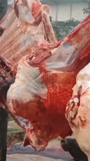 World's Fastest Meat Cutter #Shorts