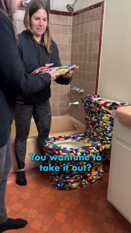 Destroying a LEGO toilet build