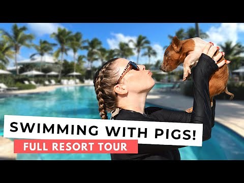 Sandals Emerald Bay in Exuma, Bahamas Full Resort Tour | Swimming with Pigs Excursion