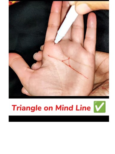 Amir Palmist on TikTok