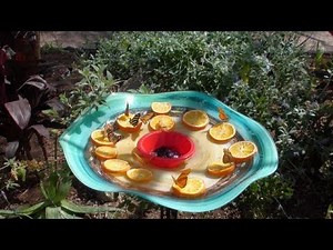 What Happens Inside the Chrysalis?