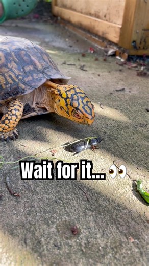 You Won’t Expect the Bite 😳