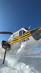 2.1K views · 173 reactions | At Mike Wiegele Helicopter Skiing, your...