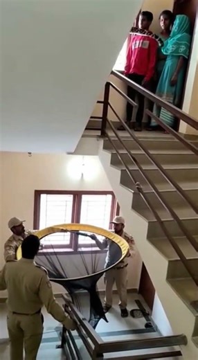 Leopard Found Hiding Inside House – Shocking Footage