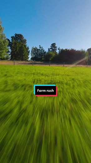 Looping the trees #nature #relax #chill #fpvdrone