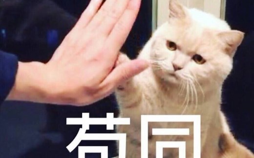 LunaRexx 皮肤抓痒利用各部位帮助睡眠的皮肤声音|助眠