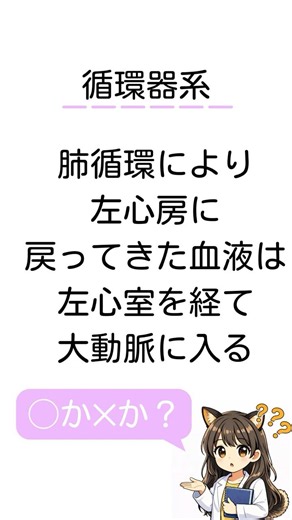 【循環器系】#衛生管理者 #一問一答 #労働生理