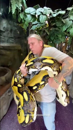 The Most Powerful Animal Evolution Ever! 🐶🐍🐟