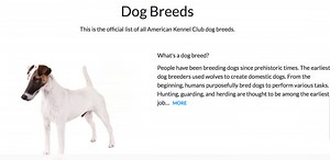 Dogs Group