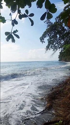 Gentle Beach Waves | Natural Ocean Sounds