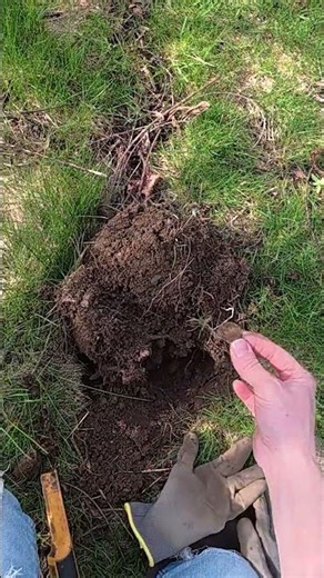 A Metal Detecting Dream Find — My Bucket List Thimble! #metaldetecting #relichunting