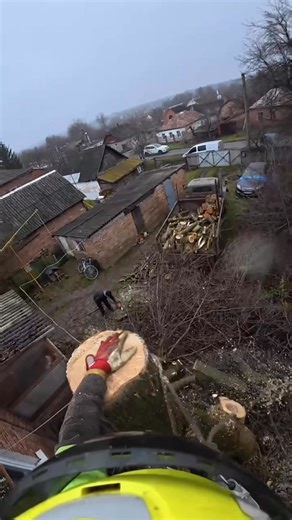 10K views · 81 reactions | Arborist Romny 0673665687 Видалення аварійних дерев #treeservice #arborist | Arborist Romny | Facebook