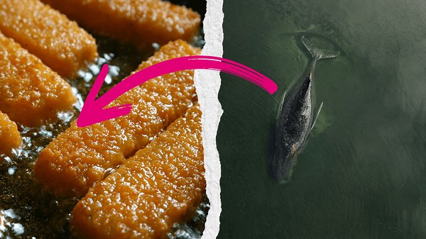 Star-Gastronom äußert sich zu kuriosem Vorwurf