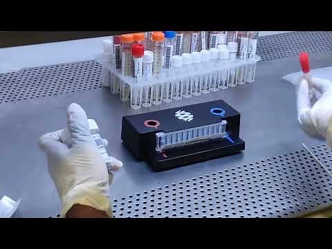 How to run BioFire machine for respiratory panel test | Respiratory panel test using the BioFire PCR