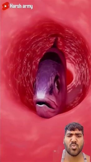 What if we get swallowed alive by a fish? #GreenScreen