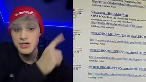 Lad on dark web random chat room immediately regretted joining